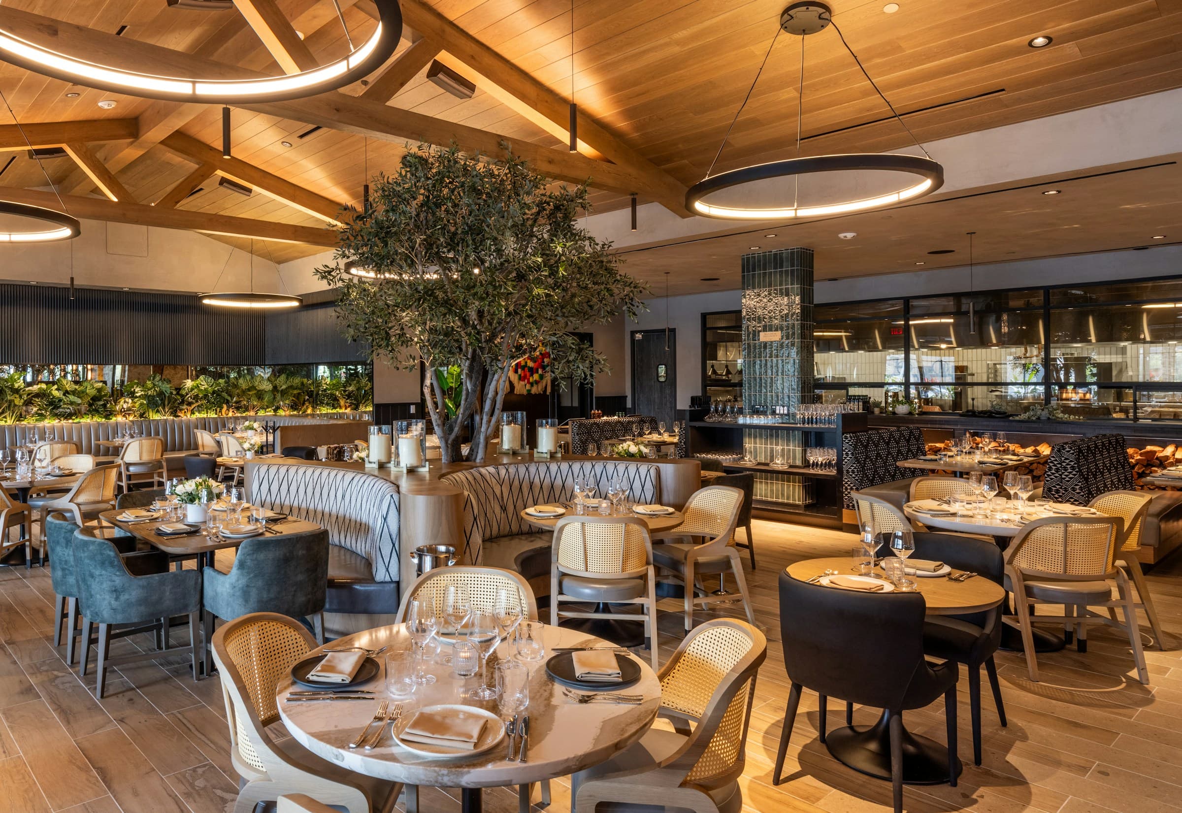 The San Diego dining room with its olive tree and open kitchen