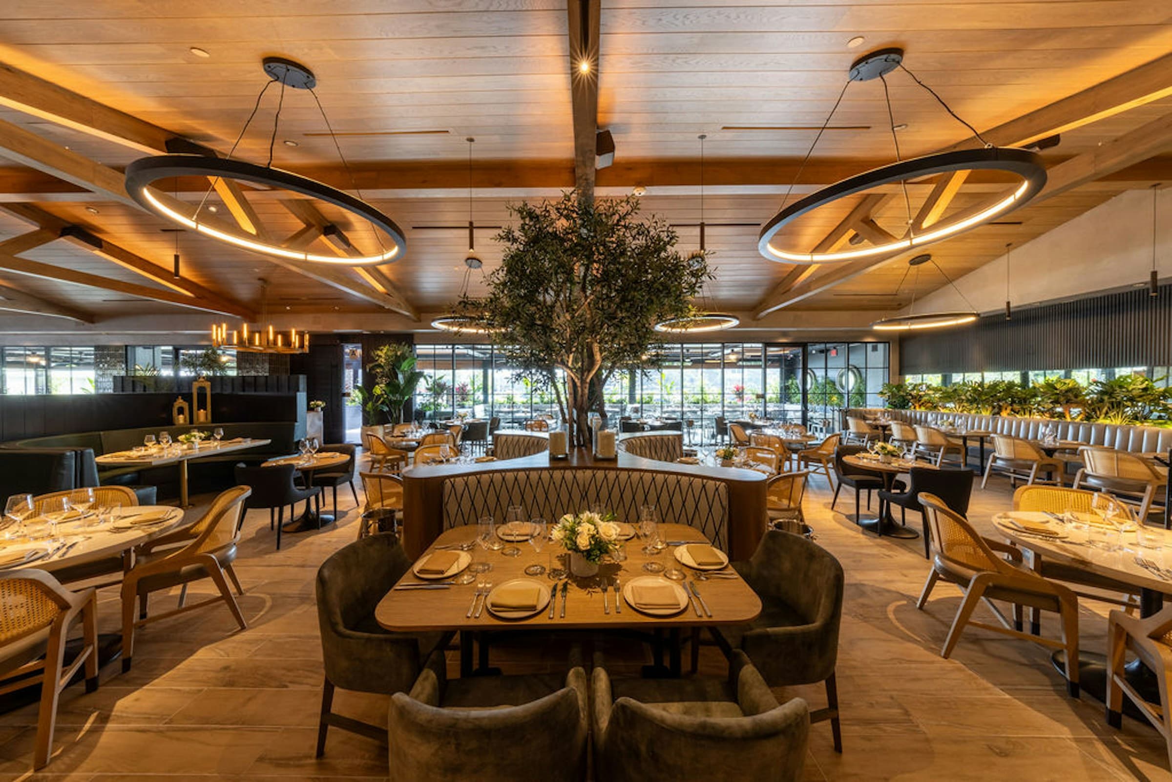 The San Diego dining room beneath a sculpted timber ceiling and olive tree